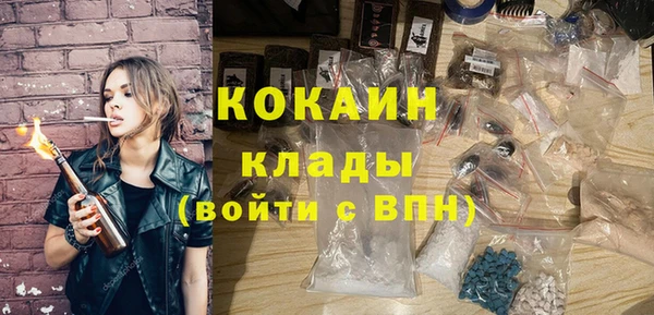 сатива Елабуга