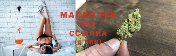 сатива Елабуга
