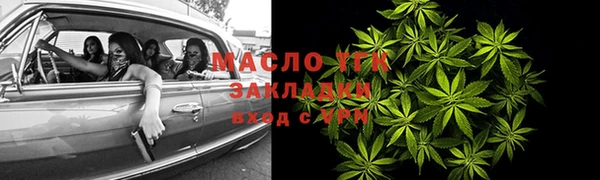 сатива Елабуга