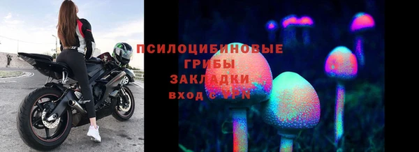 мдма Ельня