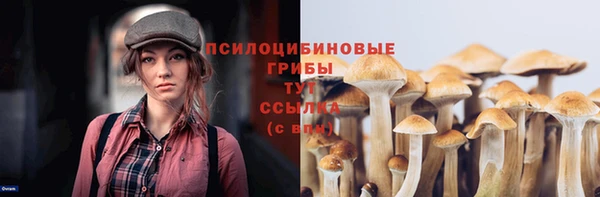 мдма Ельня