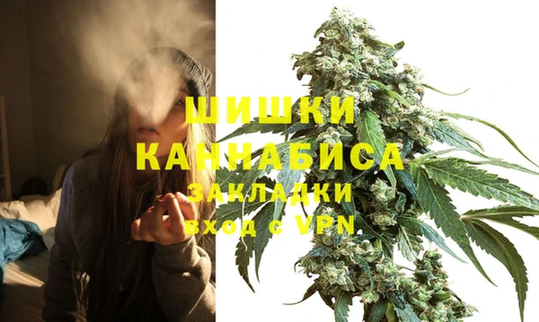 мдма Ельня