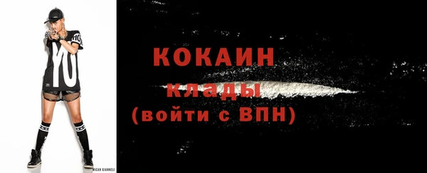 мдма Ельня