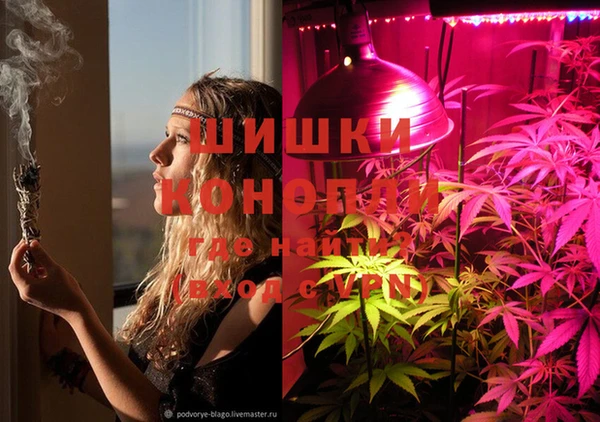 прущие крисы Елизово