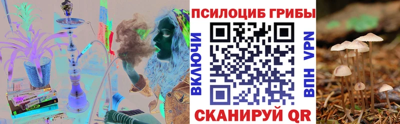 Псилоцибиновые грибы Cubensis  продажа наркотиков  Лукоянов 